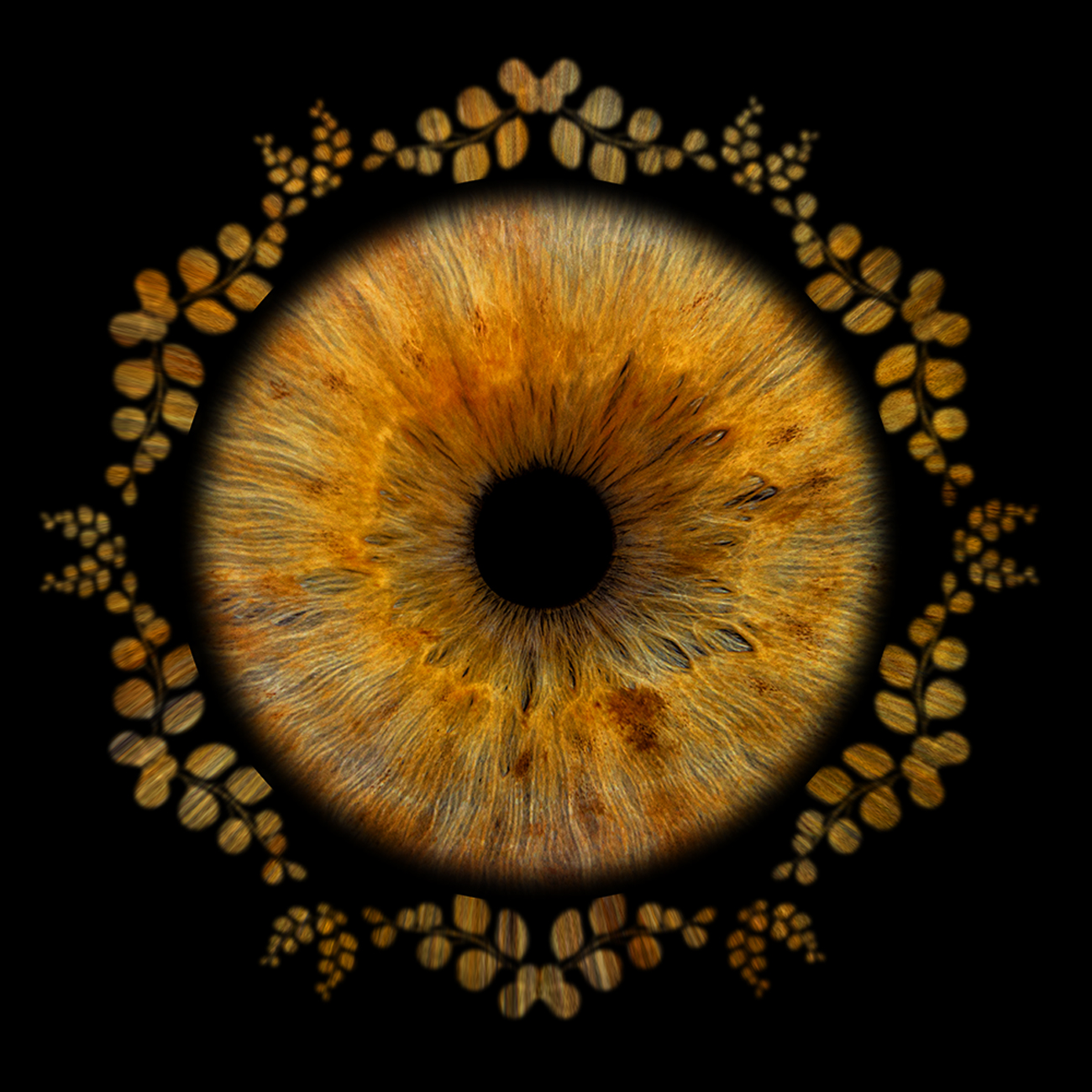 irisfoto blaadjes 1P