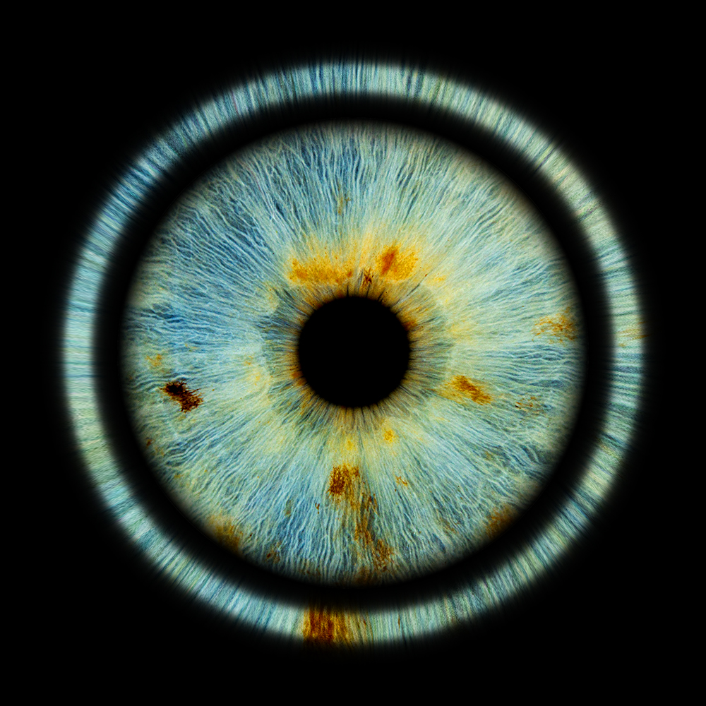 irisfoto solo halo