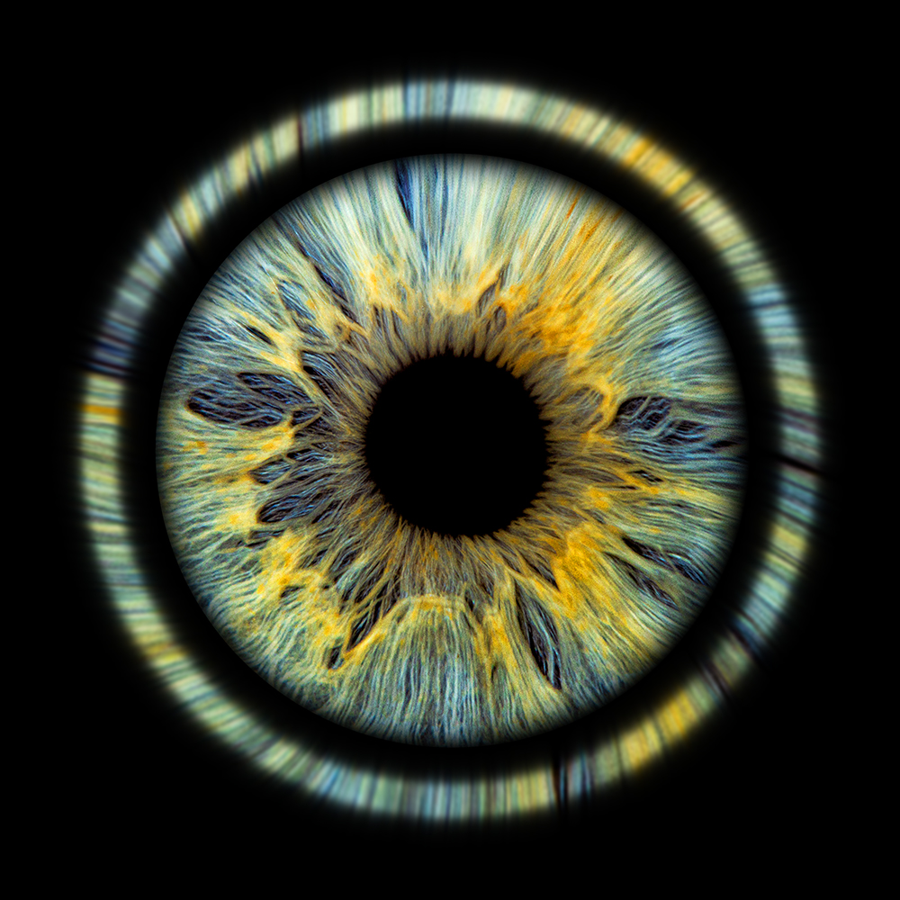 irisfoto solo halo