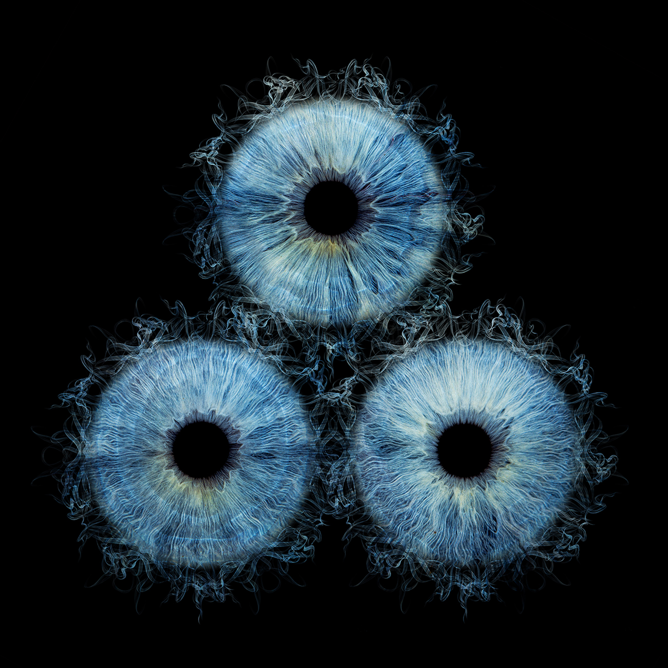 irisfoto trio rook